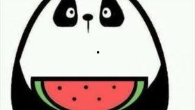 微信8.0吃瓜,吃瓜群众狂欢，社交新体验来袭！