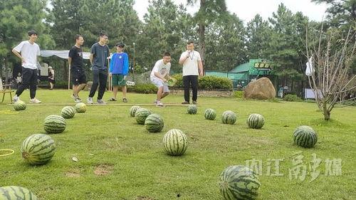 吃瓜游景区,吃瓜游景区的欢乐之旅