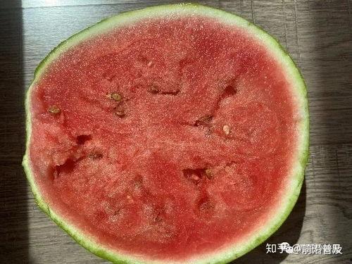 吃瓜科普,吃瓜群众的科普之旅