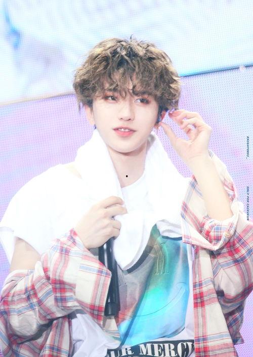 吃瓜少女蔡小葵,揭秘娱乐圈幕后故事