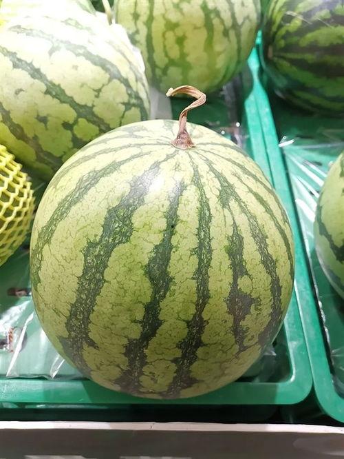 吃瓜各种大瓜,揭秘那些令人瞠目结舌的大瓜事件