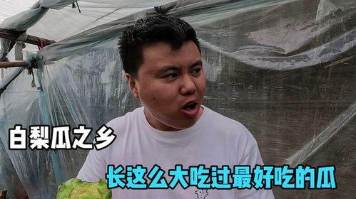 大哥吃自己的瓜,一场意外的瓜田奇遇