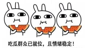 吃瓜被吊胃口,揭秘吃瓜群众的吊胃口之谜