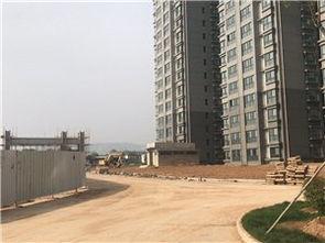 梅苑c区吃瓜,瓜田里的欢乐时光