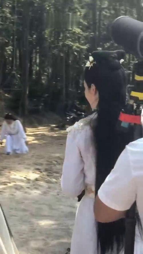 吃瓜群众女明星,揭秘吃瓜群众眼中的女明星