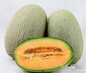 哈密瓜吃午饭可以吃吗,美味与健康的完美结合