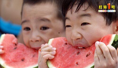 泡泡吃瓜秃崽,揭秘网络热词背后的趣味与思考