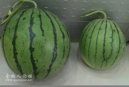 吃瓜影视照片,捕捉镜头下的光影故事