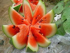 吃瓜不吐籽儿的河水,探寻自然与生活的和谐共鸣