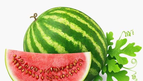 夏天吃瓜对身体好吗