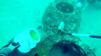 吃货吃瓜小视频,吃货们的美食盛宴