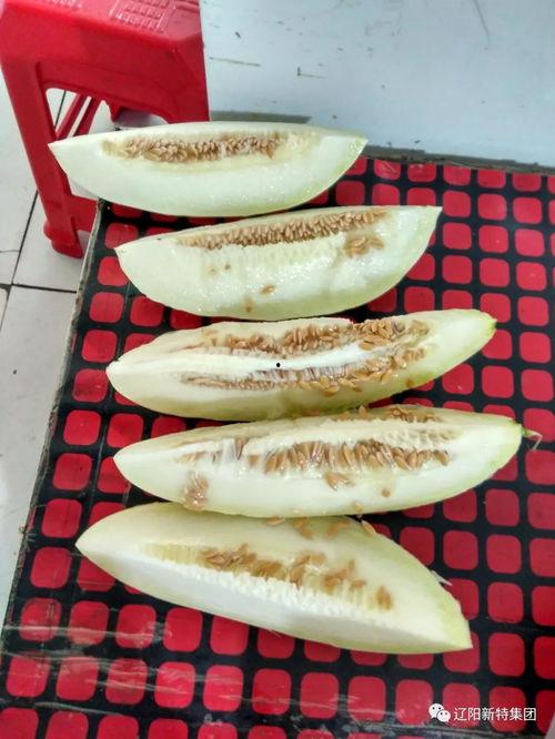 吃瓜合集区,揭秘娱乐圈幕后故事