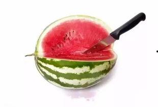 儿童吃蜜瓜呕吐,揭秘食品安全与儿童健康之谜