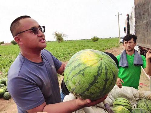 云歌吃瓜,揭秘娱乐圈幕后故事