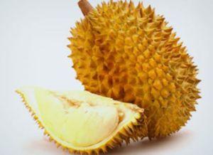 吃榴莲能吃小白瓜吗吗,探索两者搭配的饮食奥秘