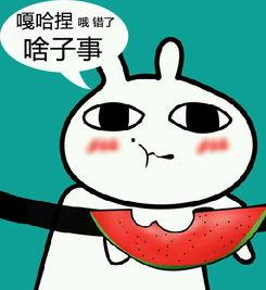 苦哈哈吃瓜,揭秘平民百姓的酸甜苦辣生活