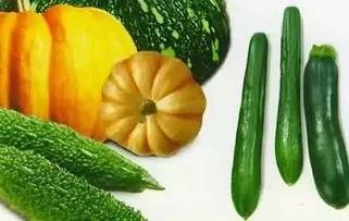 吃瓜梅子,揭秘娱乐圈的甜蜜与苦涩