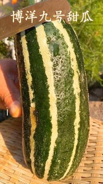 带你吃瓜吃到底,揭秘娱乐圈那些不为人知的幕后故事