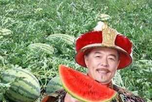 瓜农翻车吃瓜,竟成吃瓜群众热议焦点